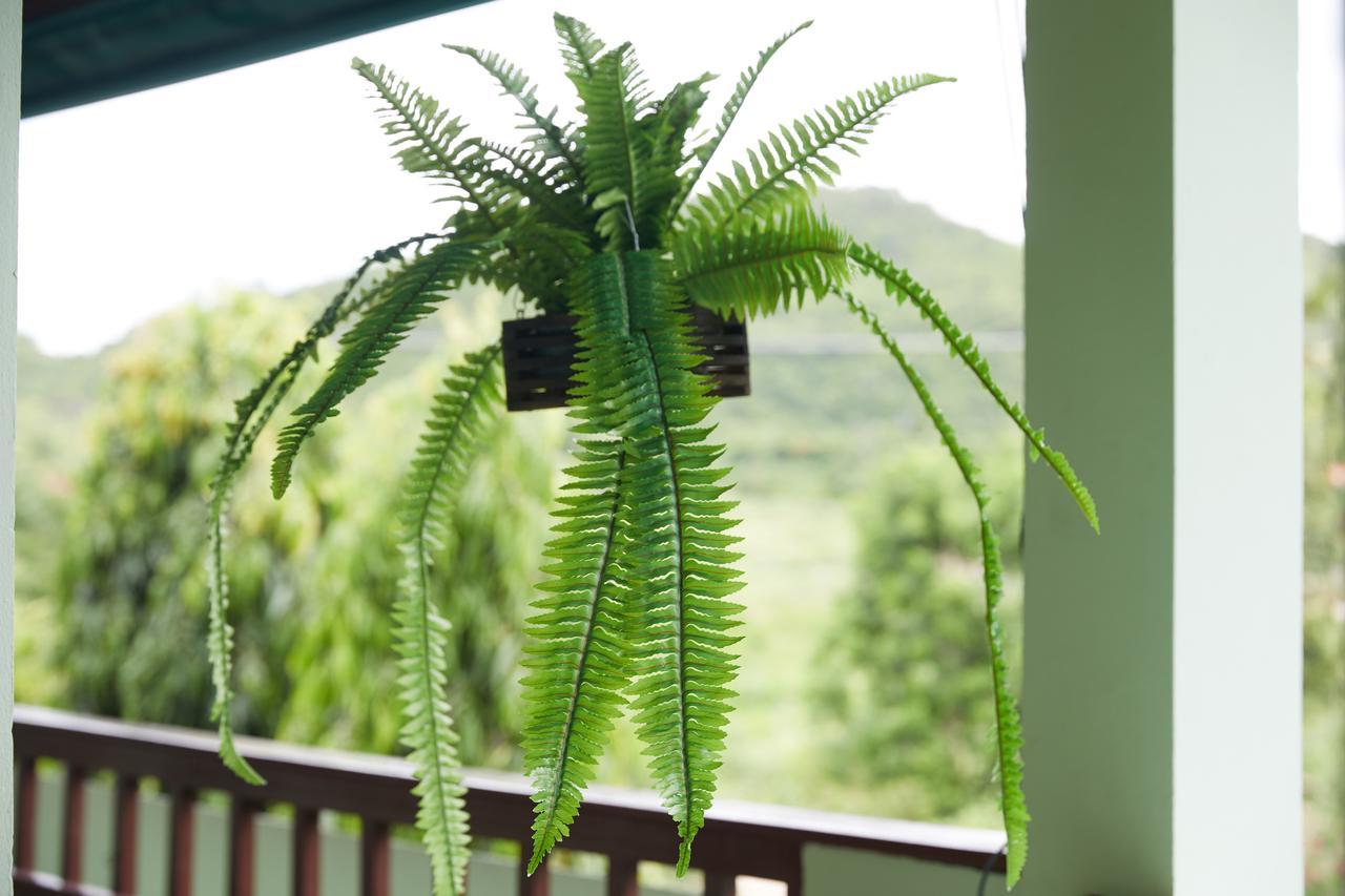 The Sun House Hotel Hua Hin Ngoại thất bức ảnh